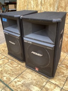 2 Peavey SP2G Speakers