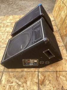 2 - Community C5X 38M 2-way loud speaker