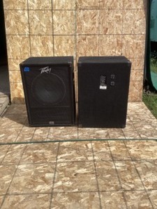 2 Peavey Speakers