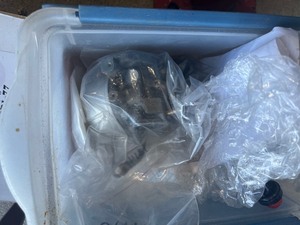 Tire Changer & Small Engine Parts