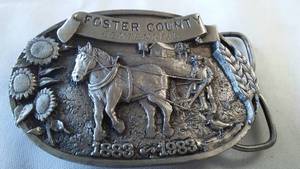 lot 119 image: Foster County N.D. Centennial 1983