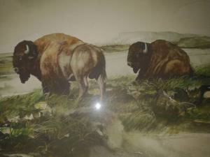lot 137D image: Bison by Michael Dunn. Fargo Artist
