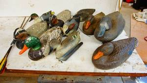 Decoys
