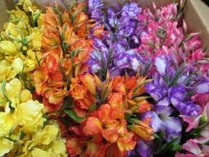 lot 298 image: box of faux flowers ...