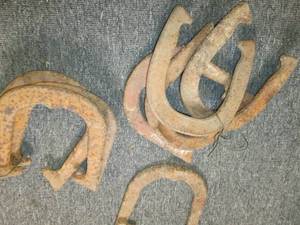 lot 476 image: 8 horse shoes ...
