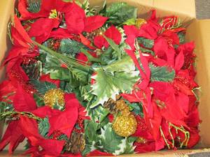 lot 496 image: case of poinsettia bushes ...