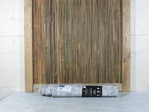 Centenno Runner, Beacon