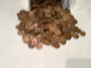 500 Wheat Pennies from 1950s