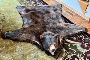 lot 4 image: Large Real Bear Rug