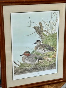 lot 107 image: Green Wing Teal Print by Kenneth A. Ferris