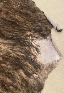 lot 141 image: Argetina Animal Pelt Rug