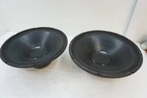 2- 18 subwoofers