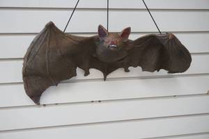 large hanging rubber bat