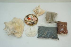 sea shells and decorative sand