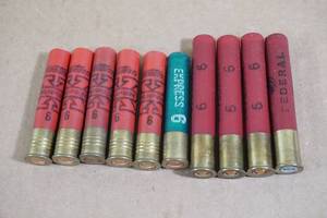 lot 88 image: Assorted .410 Gauge Shotshells