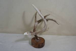 lot 148 image: Carved Antler Eagle