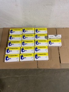 (17) Unbranded Large Disposable Vinyl Gloves (100-Count) See Pictures