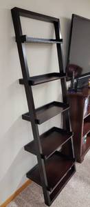 Contemporary Ladder Bookcase