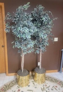 Lovely Faux Plant Decor Pair