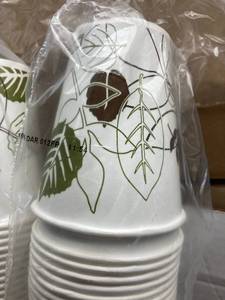 Dixie Paper Cups