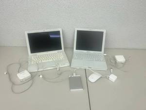 lot 133 image: Apple Products