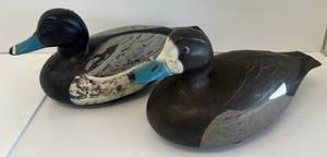 Pair Of Male And Female Blue Bill Hard Plastic Decoys (D-9 Victor Made By Woodstream)