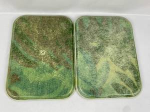 lot 189 image: Pair Mid Century Modern Cambro Fiberglass Serving Trays