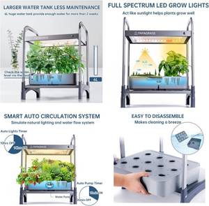Fafagrass Hydroponics Growing System