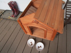 Cedar Dog House, Books, Dishes
