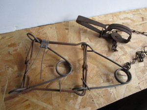 Conaber & Victor Traps