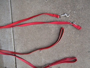 Leashes