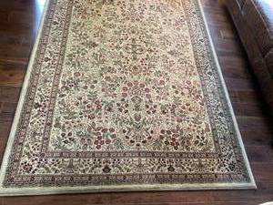 Lovely Oriental Area Rug