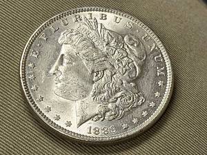 lot 52 image: 1889 MORGAN SILVER DOLLAR BU