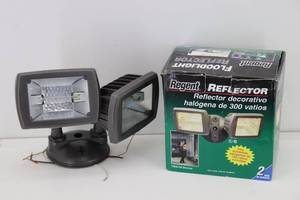 Regent Halogen Flood Light