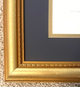Primrose Framed Art by Deborah Wade