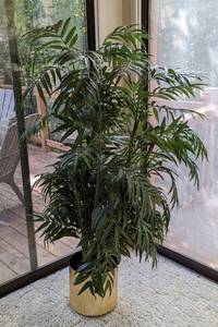 Decorative Potted Faux Plant