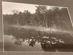 Lily Pad Cove Black and White Framed Photograph