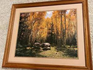 Autumn Themed Framed Print