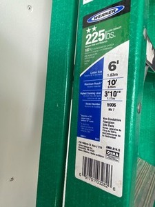 Werner Six Foot Ladder