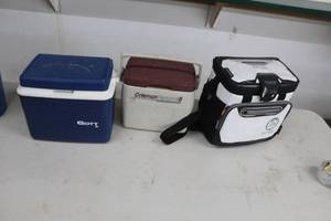 lot 843 image: Lot of (3) Personal Coolers