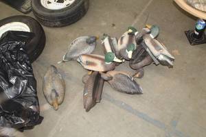 lot 893 image: Lot of (10) Plastic Duck Decoys