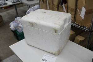 lot 884 image: Styrofoam Cooler