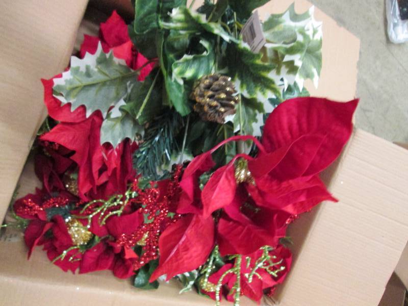 box of poinsettia mix bushes...