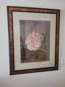 Lovely Carnation Decor Print