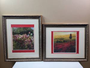 lot 476 image: Framed Art Prints Cosmos Garden by Shirley Novak &  Poppies by Claude Monet -18 x 23