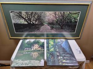 lot 483 image: Two Beautiful Framed Prints 41x20 & 12x16