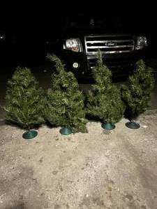 lot 628 image: 4 Small Faux Christmas Trees