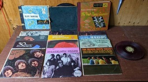 15 Vintage Vinyl Collection - 12 Individual Records and 3 Books of Vinyls