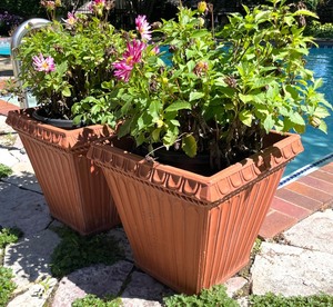 lot 423 image: Terrific Terra Cotta Planters