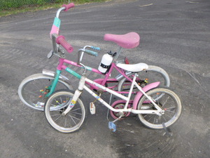 lot 95 image: 2 Youth Bicycles